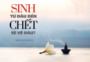 Sinh từ đâu đến, chết sẽ về đâu?